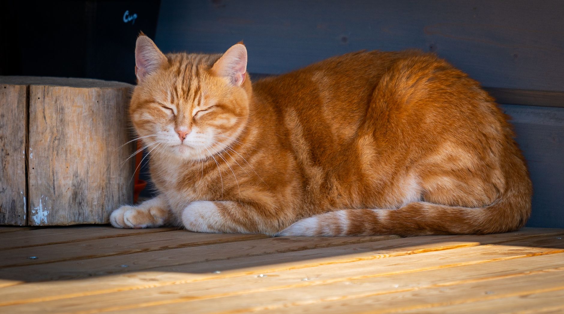 katte
